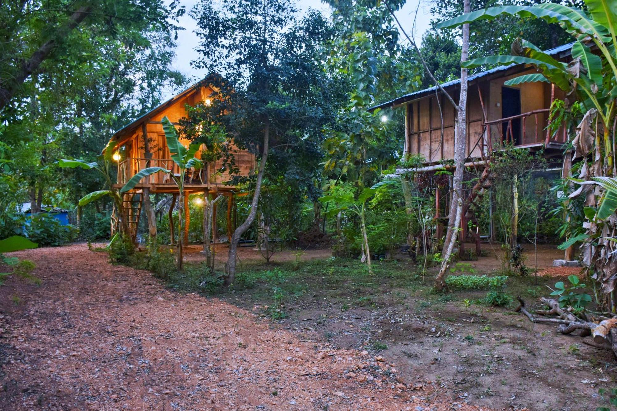 锡吉里亚Akash Treehouse公寓 外观 照片